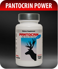 Pantocrin Power Deer Velvet Antler Extract and Power by Vitamin Prime